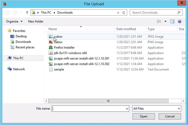 customizing web user interface of https file transfer service - 9