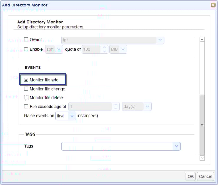 How to Auto Upload Files to a Server from A Local Directory - 03