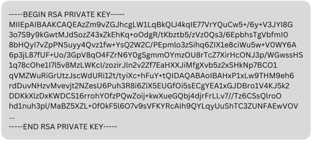 RSA private key
