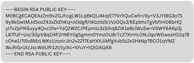 RSA public key