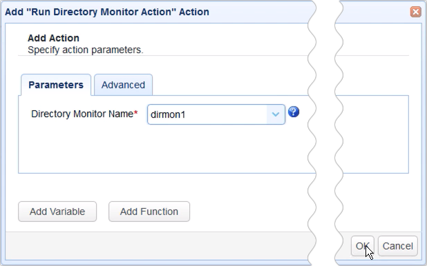 run directory monitor action parameters