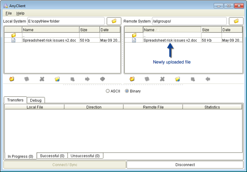 uploaded file danika mft server